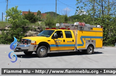 Ford F-550
United States of America - Stati Uniti d'America
Bluefield VA Fire Department
