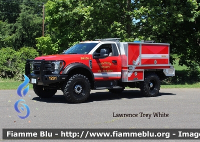 Ford F-550
United States of America-Stati Uniti d'America
Culpeper County VA Volunteer Fire Department
