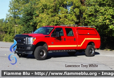United States of America - Stati Uniti d'America
Amherst VA Volunteer Fire Department
Parole chiave: Ford F-350