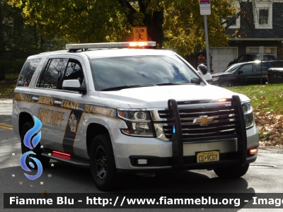 Chevrolet Suburban
United States of America-Stati Uniti d'America
Bergen County NJ Sheriff

