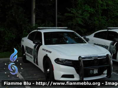 Dodge Charger
United States of America - Stati Uniti d'America
Town of Fishkill NY Police Department

