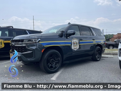 Chevrolet Taohe
United States of America - Stati Uniti d'America
Delaware State Police
