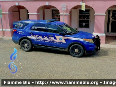 Ford Explorer
United States of America - Stati Uniti d'America
Virgin Islands Police
