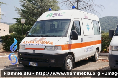 Fiat Ducato II serie
Sanitaservice ASL Foggia
Ambulanza Veterinaria


Parole chiave: Fiat Ducato_IIserie Ambulanza