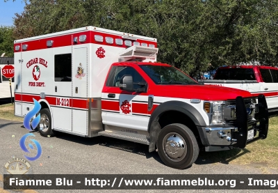Ford F- 450
United States of America - Stati Uniti d'America
Cedar Hill TX Fire Department
Parole chiave: Ambulance Ambulanza