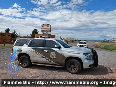 Chevrolet Taohe
United States of America-Stati Uniti d'America
Arizona Highway Patrol
