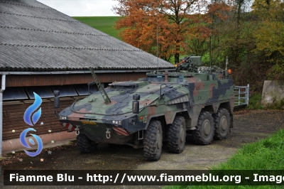 ??
Nederland - Paesi Bassi
Nederlandse Krijgsmacht - Esercito Olandese
