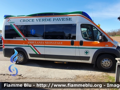 Fiat Ducato X250
Croce Verde Pavese
Ambulanza A/3
Allestimento Aricar
Parole chiave: Fiat Ducato_X250 Ambulanza