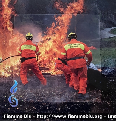 Servizio AIB
Corpo Forestale dello Stato
Uniforme per lotta attiva agli incendi boschivi
Parole chiave: Uniformi_CFS